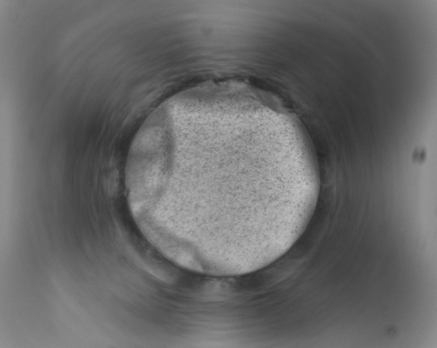 X0000112390080200909101421