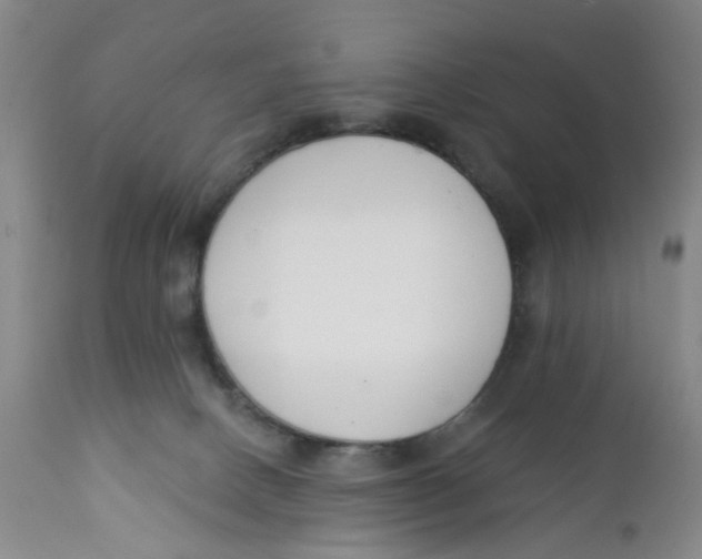 X0000112390082200909101421