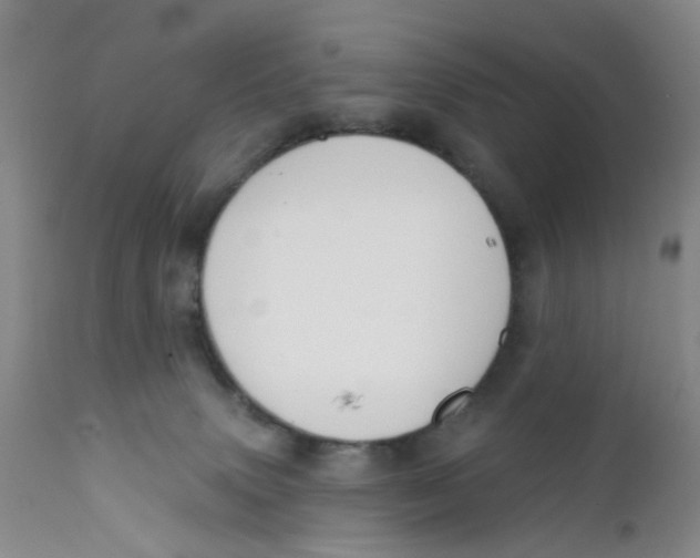 X0000112390083200909101421