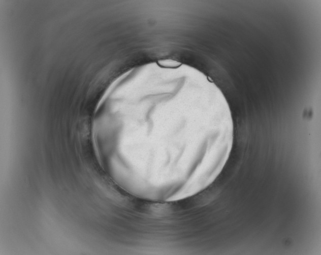 X0000112390085200909101421