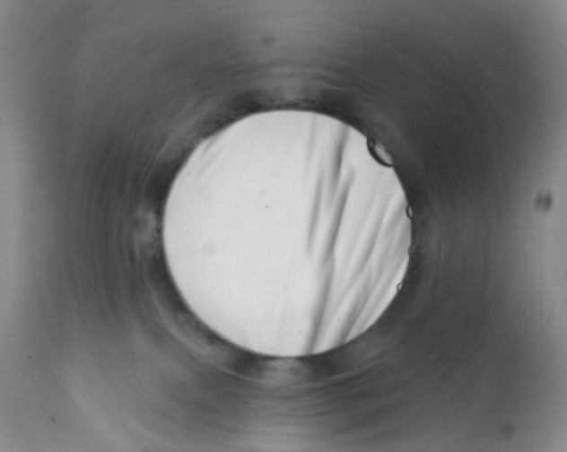 X0000112390087200909101421
