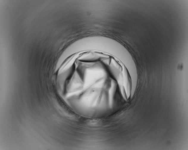 X0000112390088200909101421