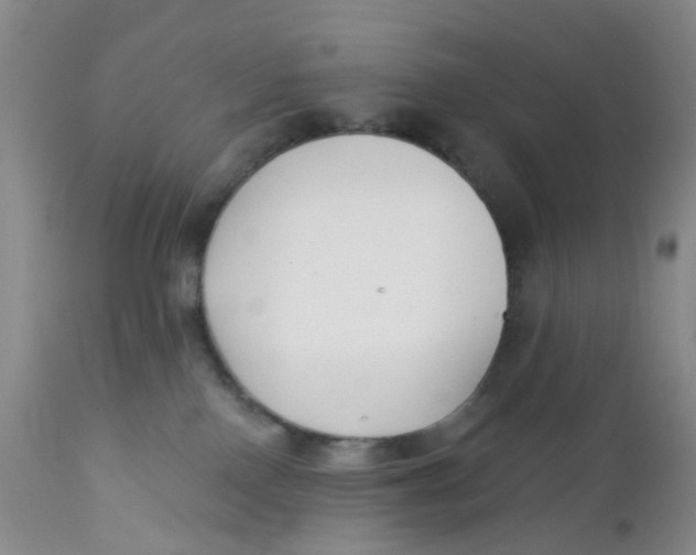 X0000112390090200909101421