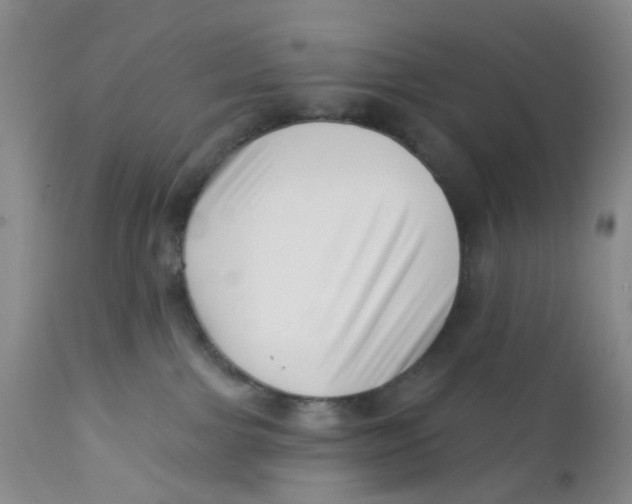 X0000112390091200909101421