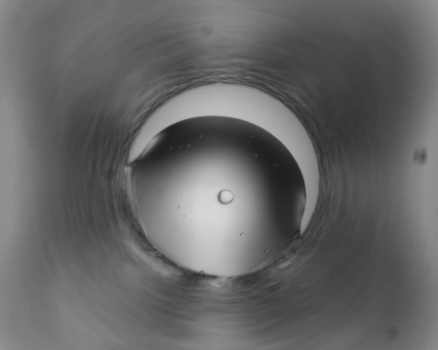 X0000112390092200909101421