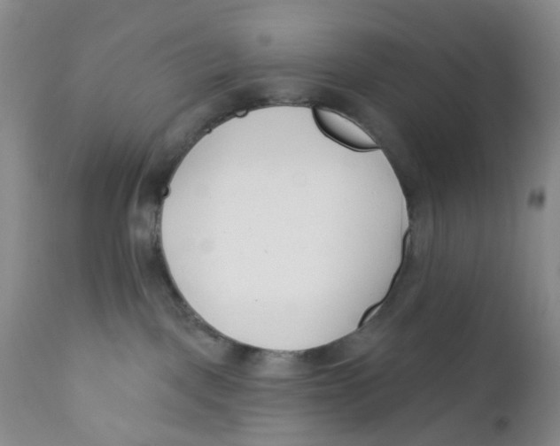 X0000112390093200909101421