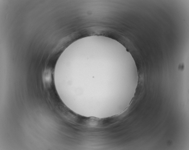 X0000112390094200909101421