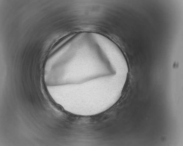 X0000112390097200909101421