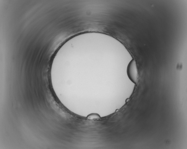 X0000112390098200909101421