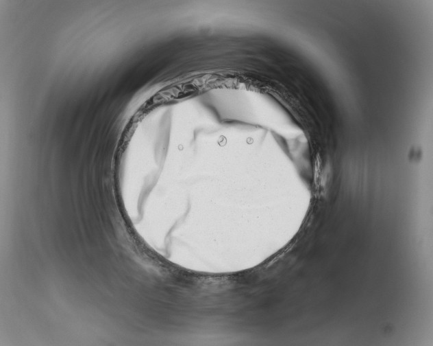 X0000112390099200909101421
