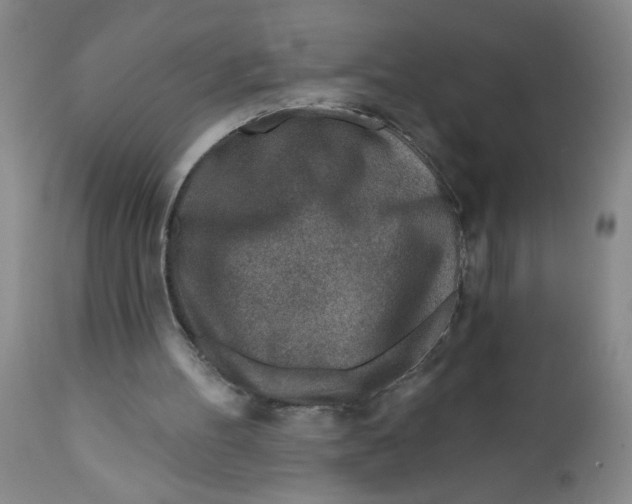 X0000112390100200909101421