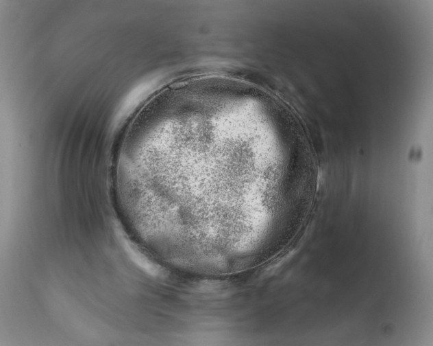 X0000112390101200909101421