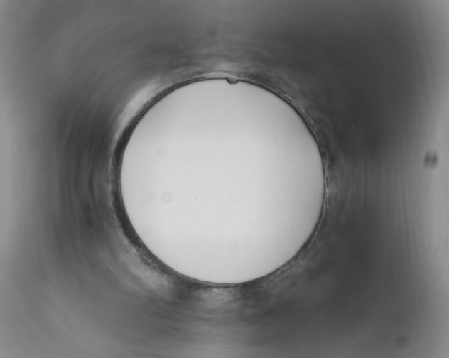 X0000112390102200909101421