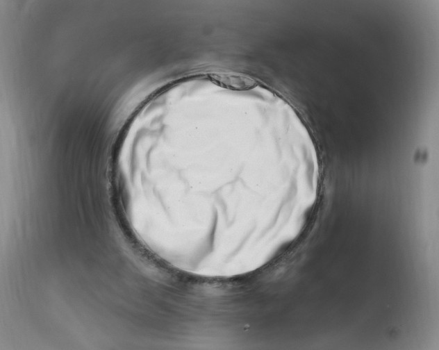 X0000112390103200909101421