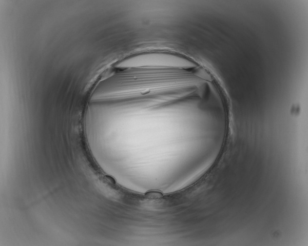 X0000112390105200909101421