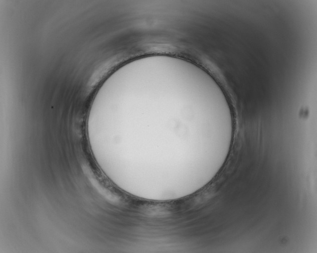 X0000112390106200909101421