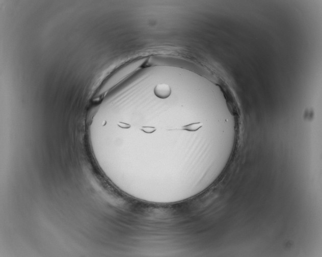 X0000112390107200909101421