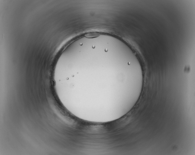 X0000112390108200909101421