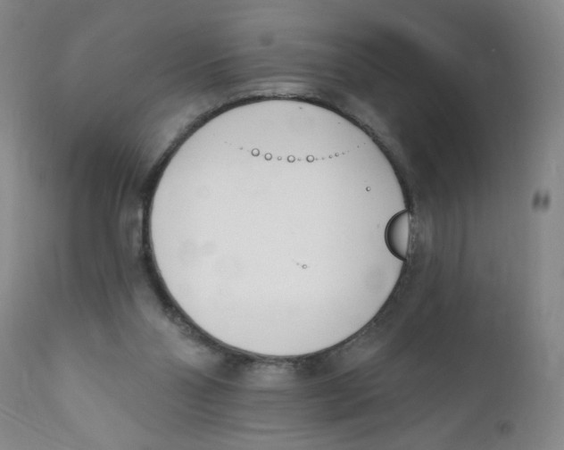 X0000112390110200909101421