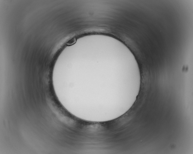 X0000112390112200909101421