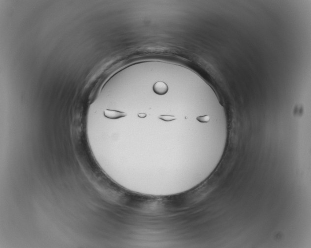 X0000112390116200909101421