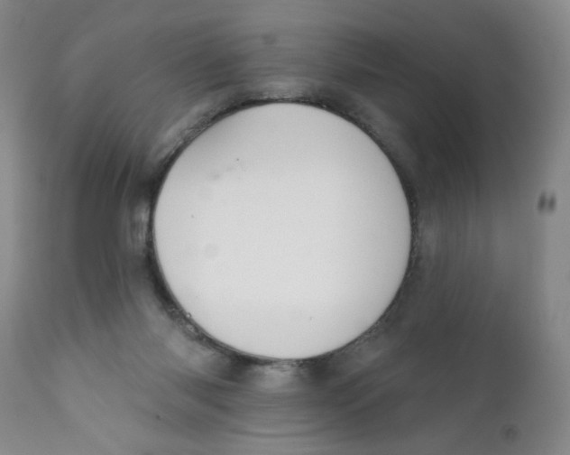 X0000112390118200909101421