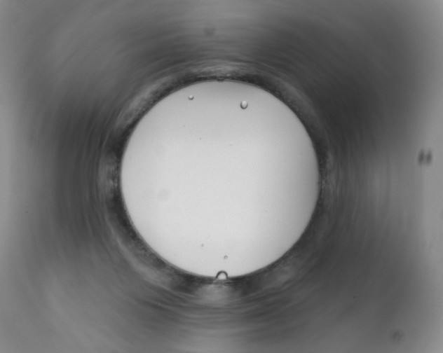X0000112390119200909101421