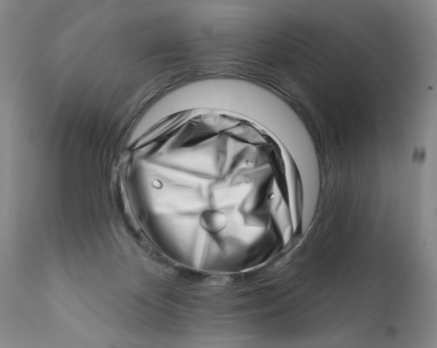 X0000112390124200909101420