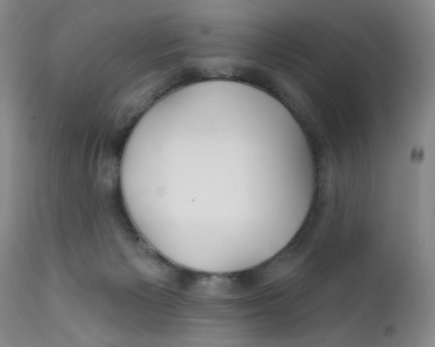 X0000112390125200909101420