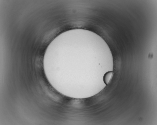 X0000112390126200909101420