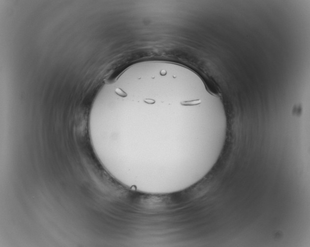 X0000112390129200909101420