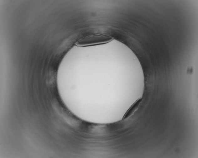 X0000112390132200909101420