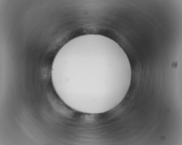 X0000112390134200909101420