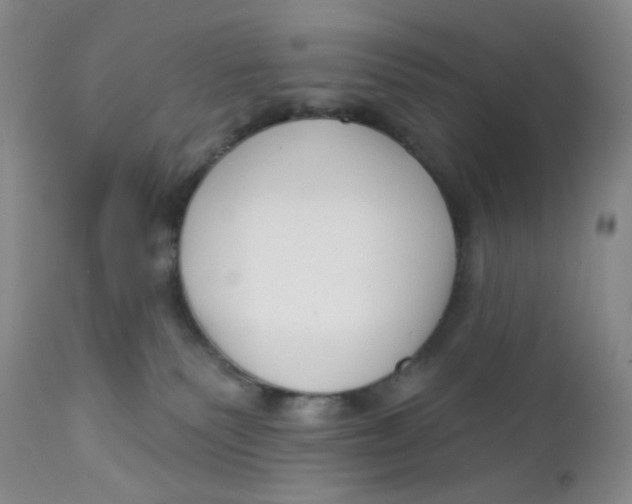 X0000112390135200909101420