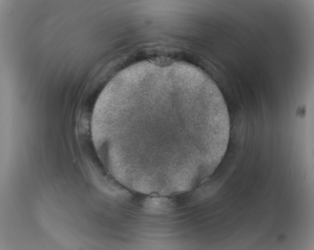 X0000112390137200909101420