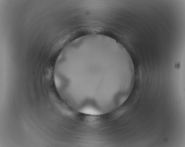 X0000112390139200909101420