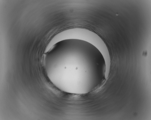 X0000112390140200909101420