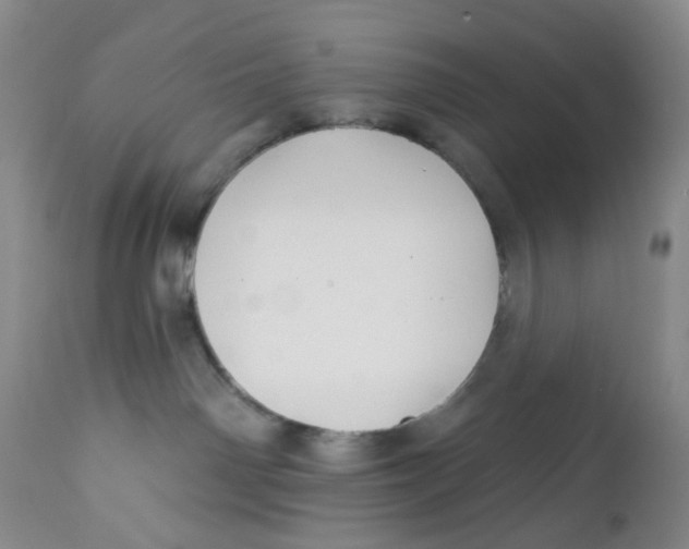 X0000112390142200909101420