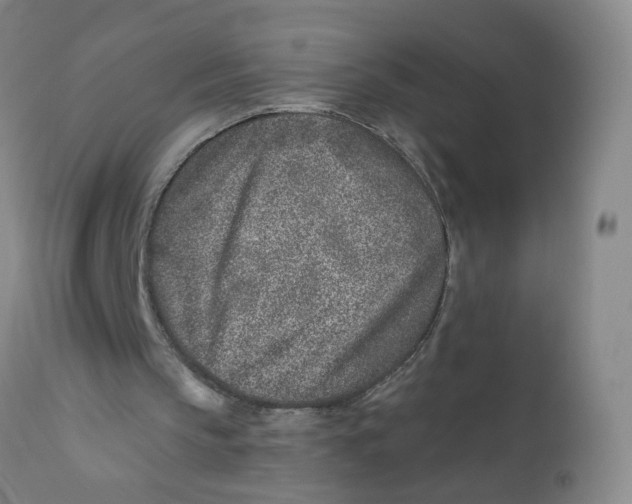 X0000112390145200909101419