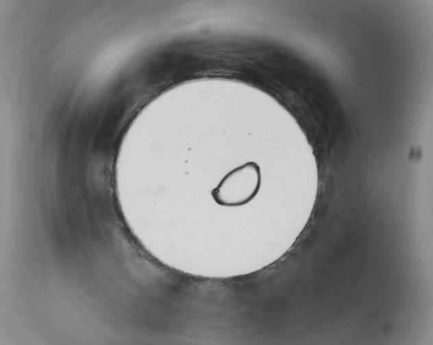 X0000112390146200909101419