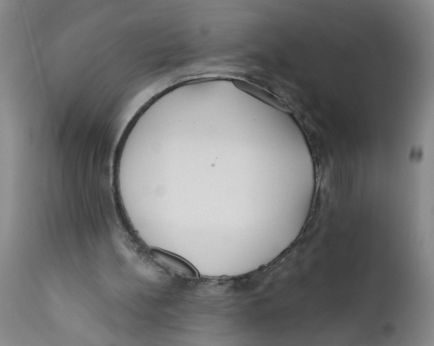 X0000112390148200909101420