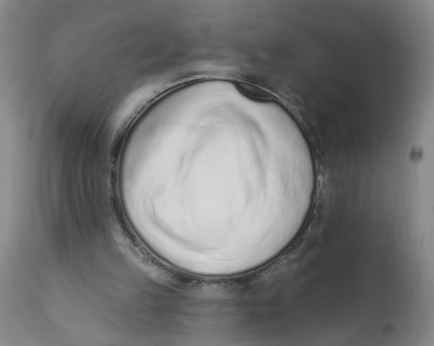 X0000112390149200909101420