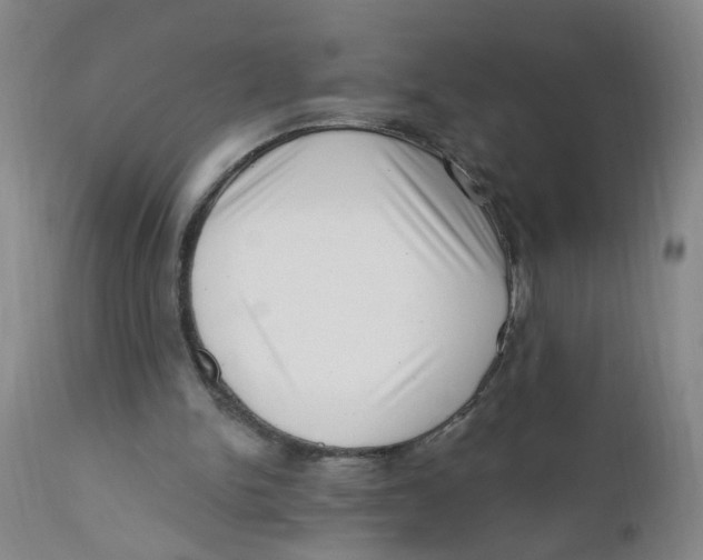 X0000112390150200909101420