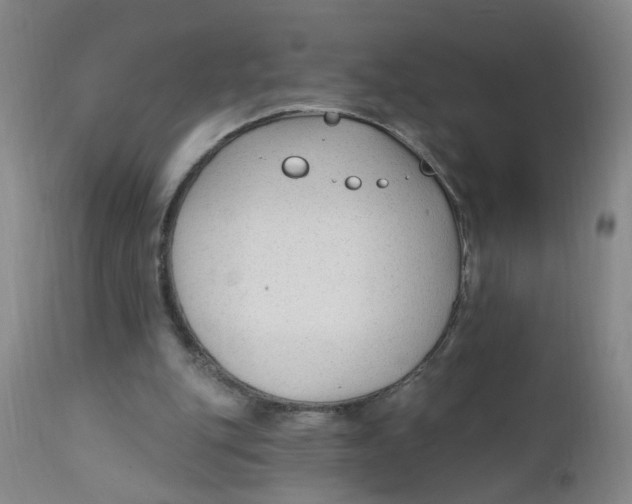 X0000112390151200909101420