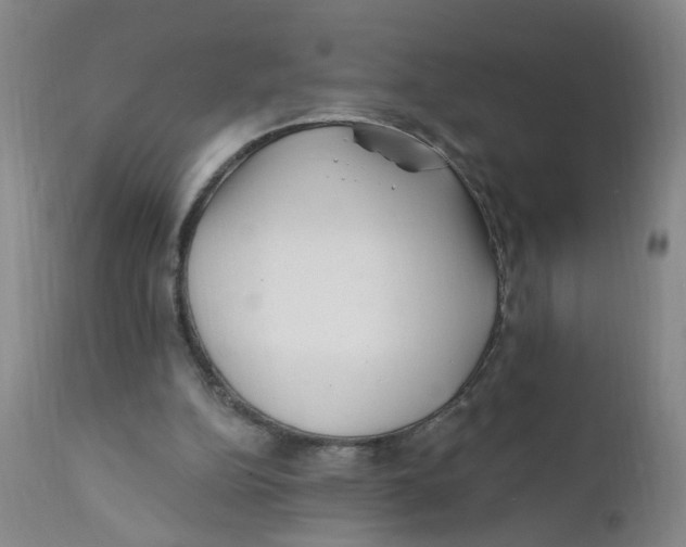 X0000112390152200909101420