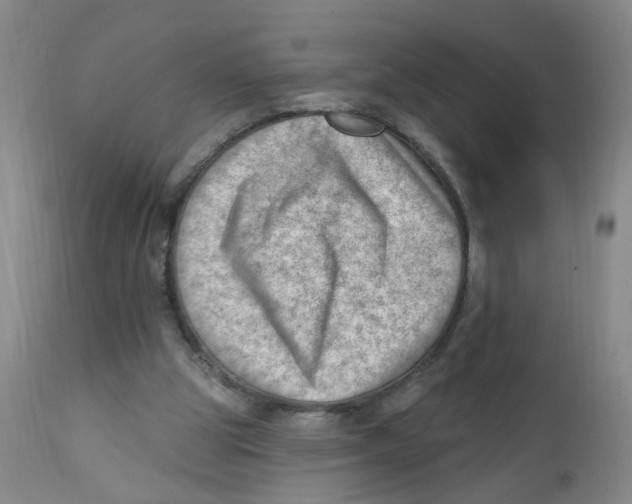 X0000112390153200909101420