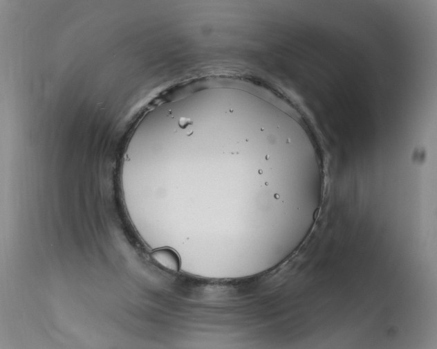X0000112390154200909101420