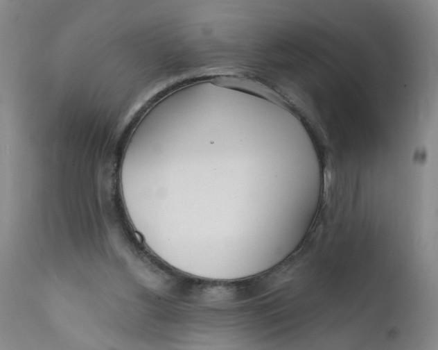 X0000112390156200909101420