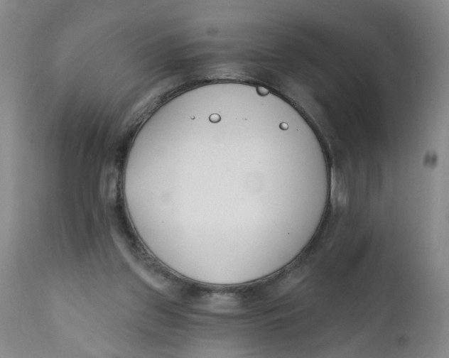 X0000112390157200909101420