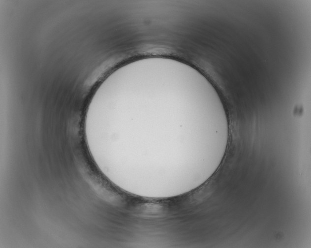 X0000112390159200909101420